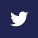 Twitter icon